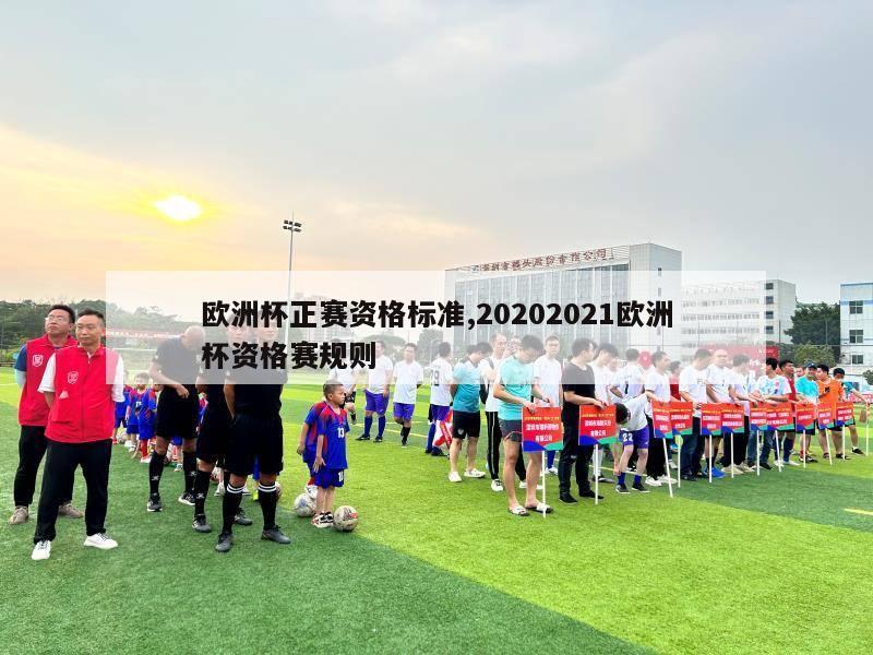 欧洲杯正赛资格标准,20202021欧洲杯资格赛规则