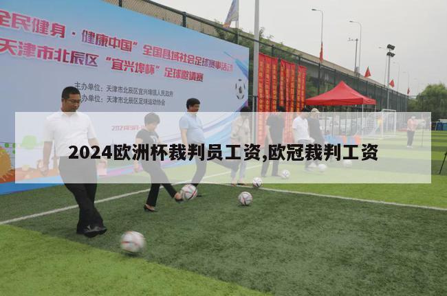 2024欧洲杯裁判员工资,欧冠裁判工资